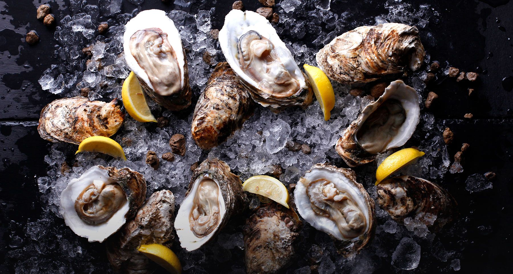 Homepage 3 Oysters
