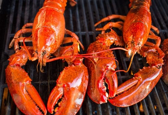 Lobster Suppers & BBQs 1